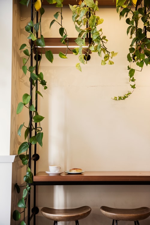 Cafe Story Image
